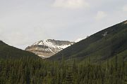 41 - Banff to Icefields - IMG_0959